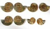 Lot: to Cut Ammonite Fossil Pairs - Pairs #117039-2